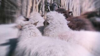 A DOG CALLED VENGEANCE (1977) FULL MOVIE