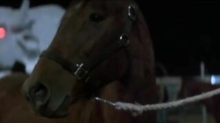 WHITE SANDS (2009) FULL MOVIE